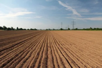Agrodefesa antecipa para 20 de setembro início do plantio de soja em Goiás