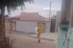 Ataque de abelhas isola fiéis em igreja e mata cachorro em Caldas Novas