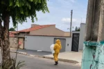 Ataque de abelhas mata cachorro e obriga moradores a se esconderem dentro de igreja, em Caldas Novas