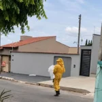 Ataque de abelhas mata cachorro e obriga moradores a se esconderem dentro de igreja, em Caldas Novas