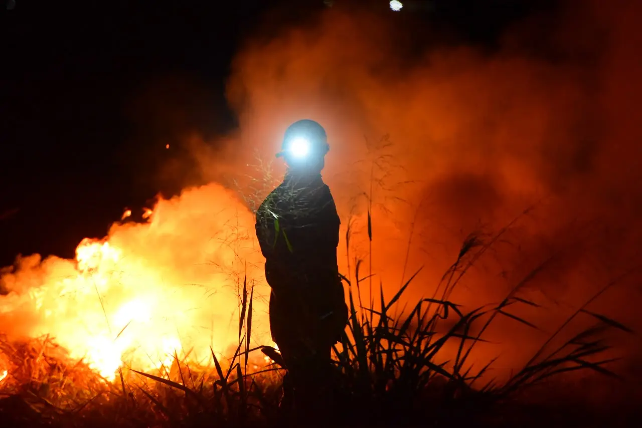 Autores de incêndios criminosos em Goiás podem ser presos, pagar multa e reparar danos ambientais