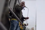 Av. Paulista: Gayer prevê maioria no Senado e eleição de Flávio Bolsonaro