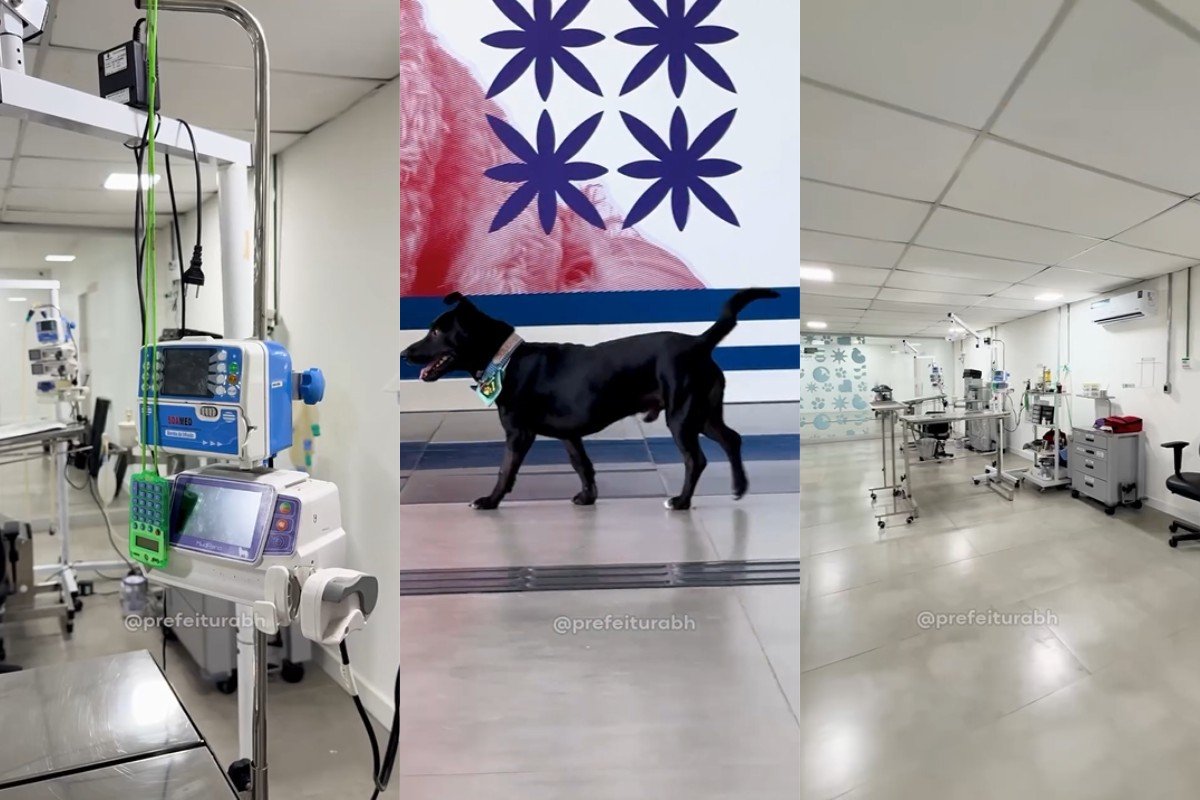 BH abre novo centro veterinário gratuito com UTI e cirurgias