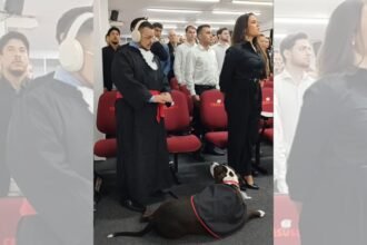 Cão de assistência acompanha advogado autista em colação de grau