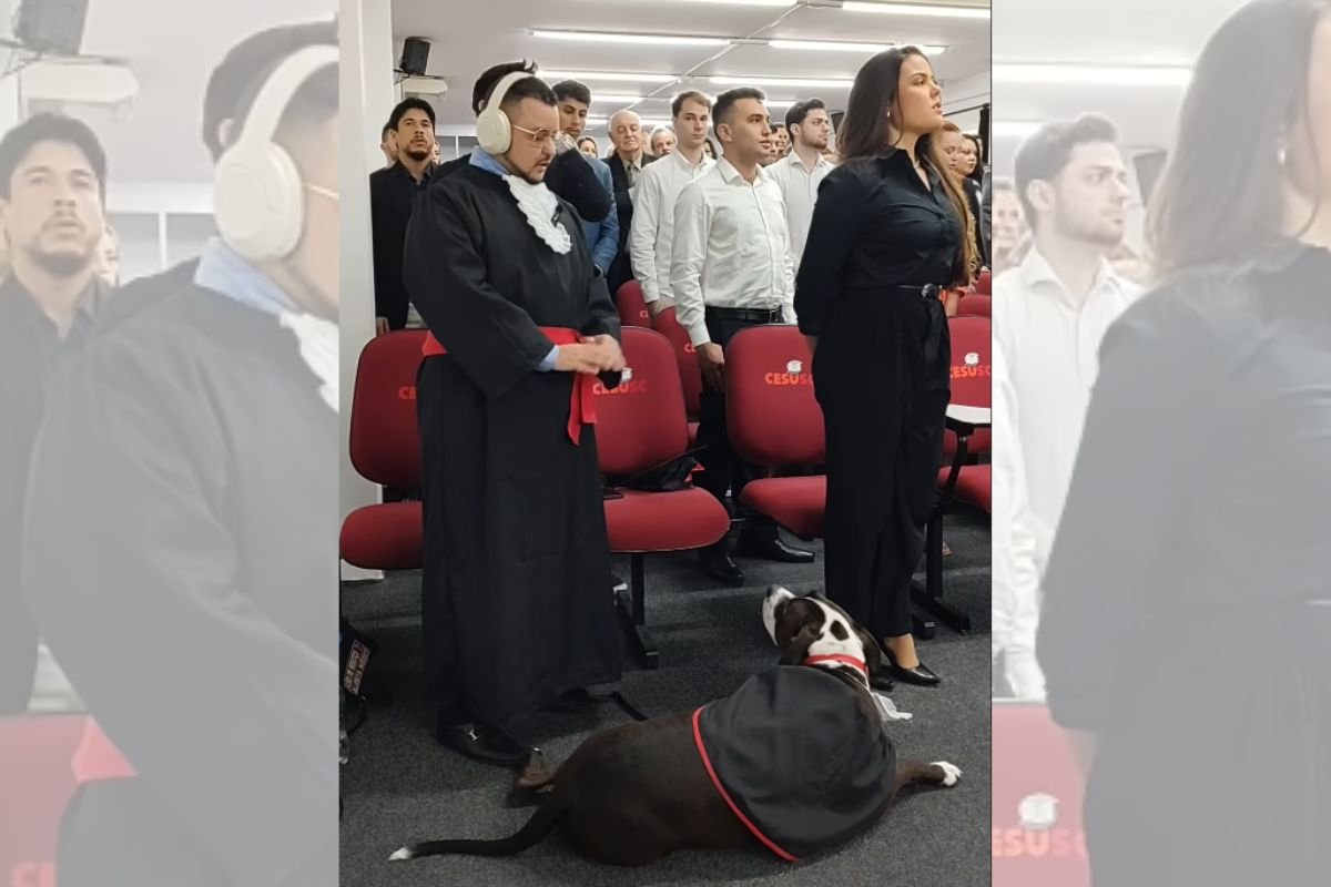 Cão de assistência acompanha advogado autista em colação de grau