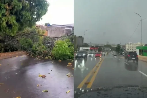 Chuva forte ameniza calor e causa estragos em Anápolis; vídeo