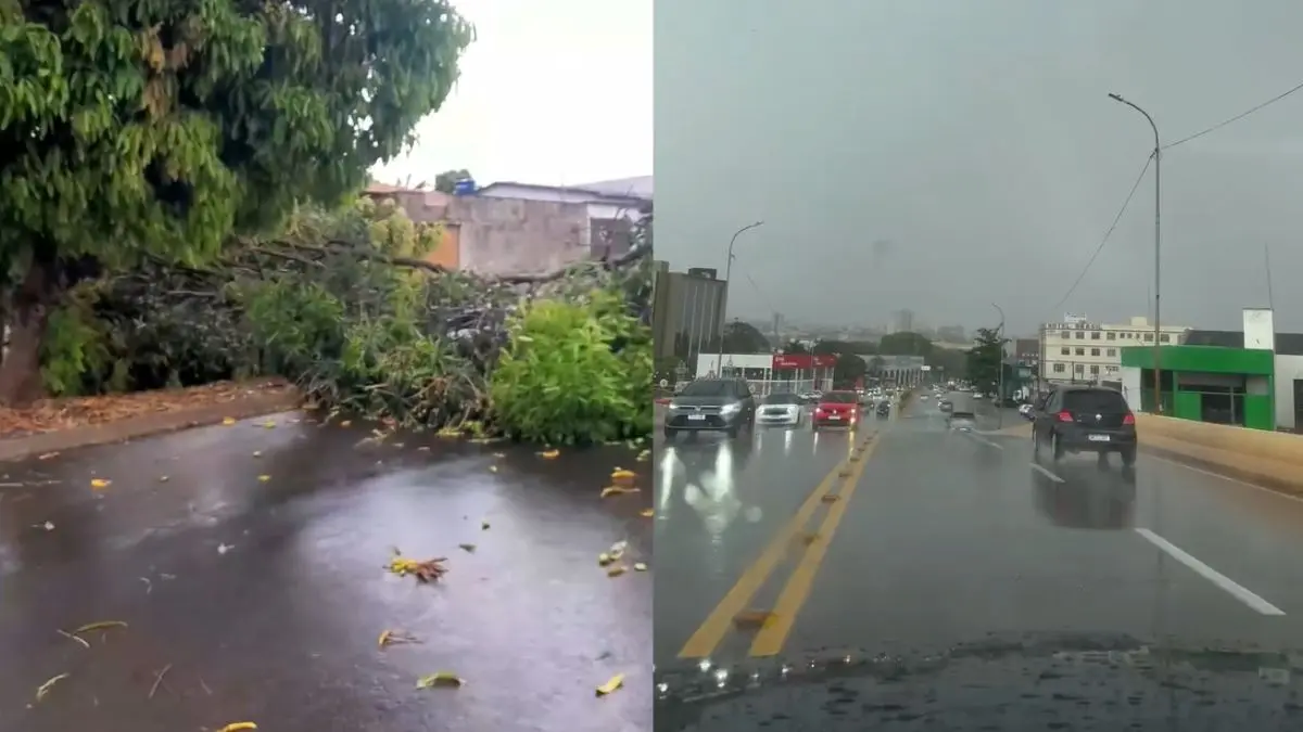 Chuva forte ameniza calor e causa estragos em Anápolis; vídeo