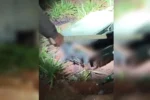 Corpo é encontrado dentro de mala em lote baldio no Residencial Florença, em Goianira