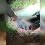 Corpo é encontrado dentro de mala em lote baldio no Residencial Florença, em Goianira