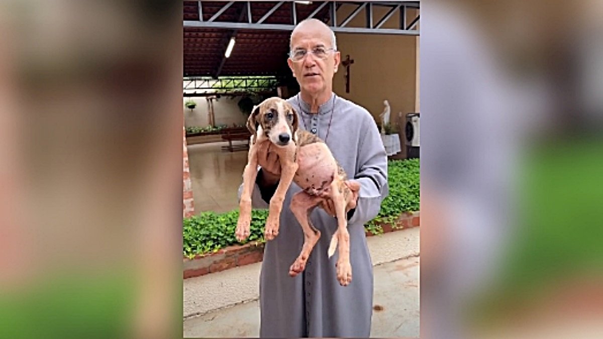 “Cuidar dos animais como São Francisco nos ensinou”: padre Luiz Augusto rebate críticas após polêmica com cachorro