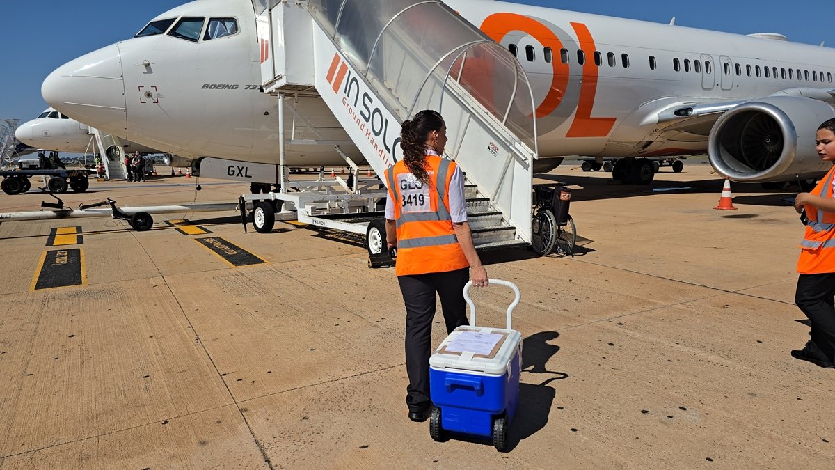 Doador mais jovem de Goiás: rim de bebê de 29 dias é transportado por avião comercial em Goiânia