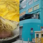 “Estão investigando”: mulher encontra filhote de rato vivo em marmita e vídeo choca web