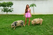 feed-image-1788668620-2 Nicole Bahls comenta polêmica no Carnaval e diz se irá para o BBB