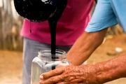 feed-image-1788734484 Sítio onde agricultor achou petróleo entra em área de exploração, diz ANP