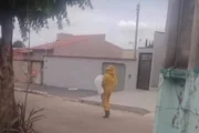 feed-image-1788778262 Ataque de abelhas isola fiéis em igreja e mata cachorro em Caldas Novas