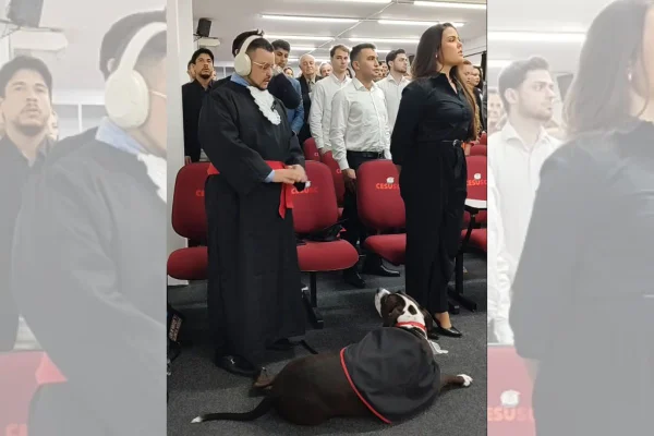 feed-image-1788895913 Cão de assistência acompanha advogado autista em colação de grau