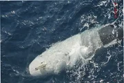 feed-image-1788895939 Irã afirma ter capturado submarino não tripulado dos EUA em Ormuz