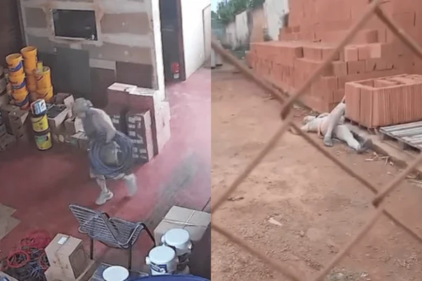 feed-image-1788907441 Por um fio: ladrão desmaia após ser atacado por cão em tentativa de furto