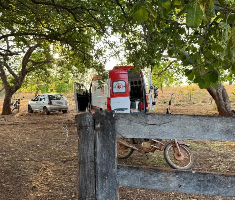 feed-image-1788964852 Idoso morre após ataque de abelhas em fazenda de Santa Terezinha de Goiás