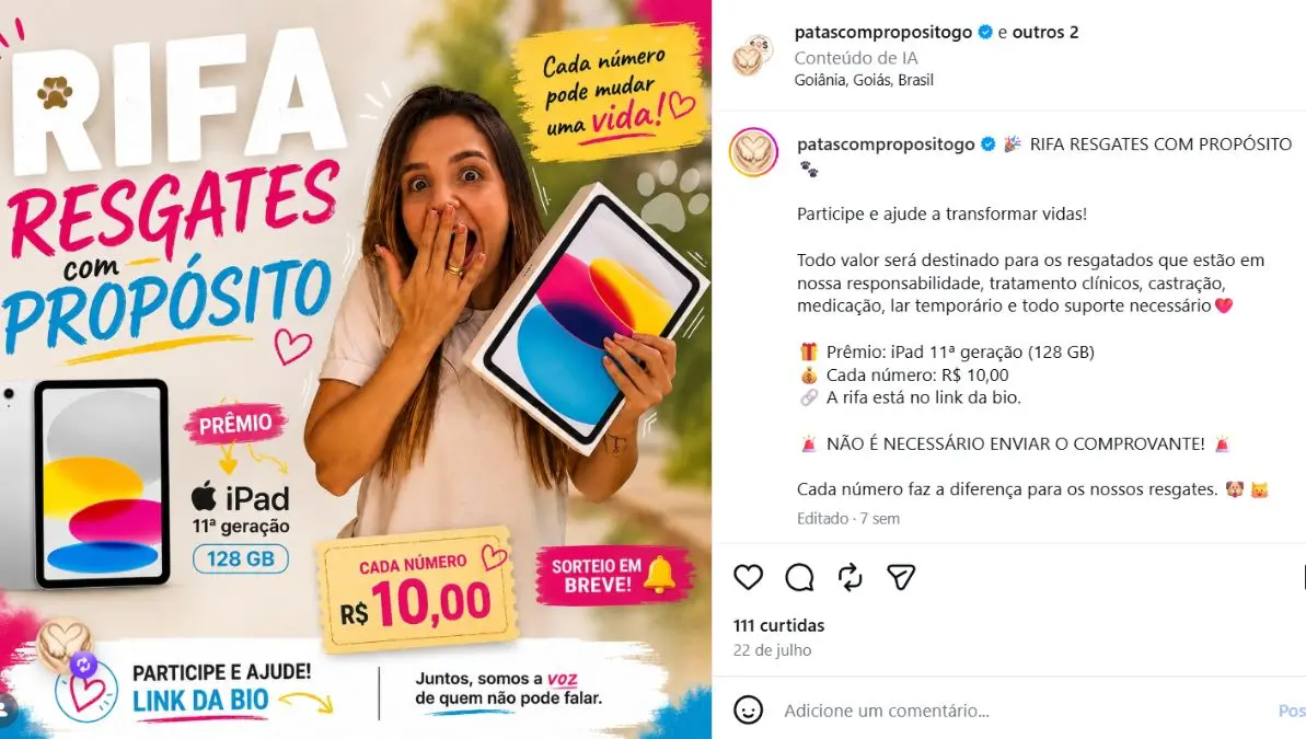 feed-image-1789075261 Grupo de proteção animal acumula dívida de R$ 13 mil e teme fechar em Goiânia: ‘Não temos como fazer nada’