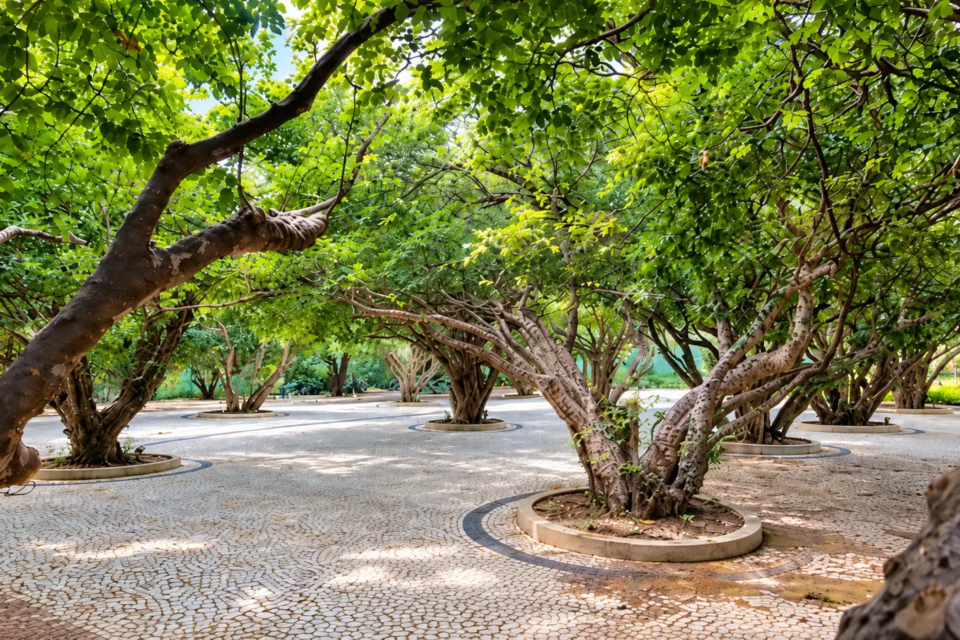 feed-image-1789217515 Goiânia esconde jardim inspirado no Palácio de Versalhes; você sabe onde fica?