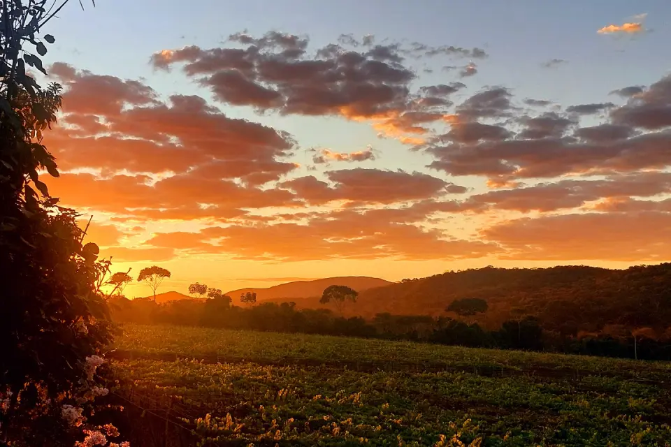 feed-image-1789509899 Goiás também é terra de vinho: estado já tem 12 vinícolas e 161 vinhos registrados