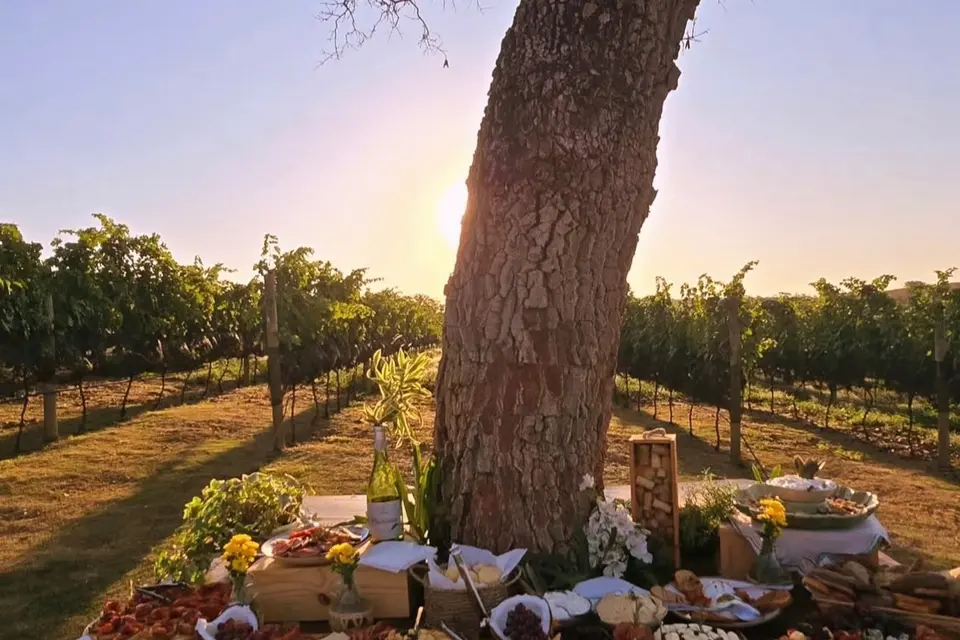 feed-image-1789509900 Goiás também é terra de vinho: estado já tem 12 vinícolas e 161 vinhos registrados