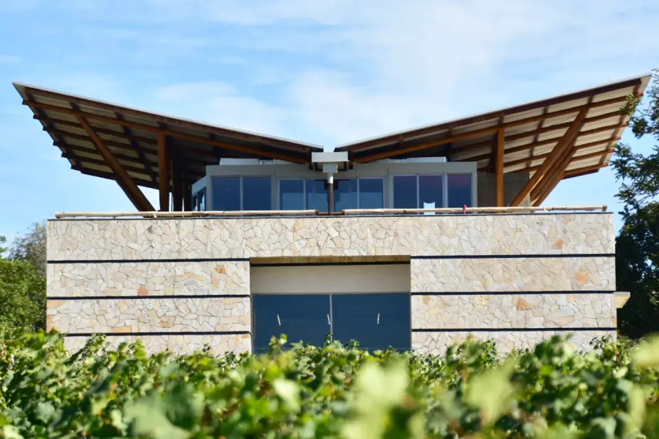 feed-image-1789509902 Goiás também é terra de vinho: estado já tem 12 vinícolas e 161 vinhos registrados