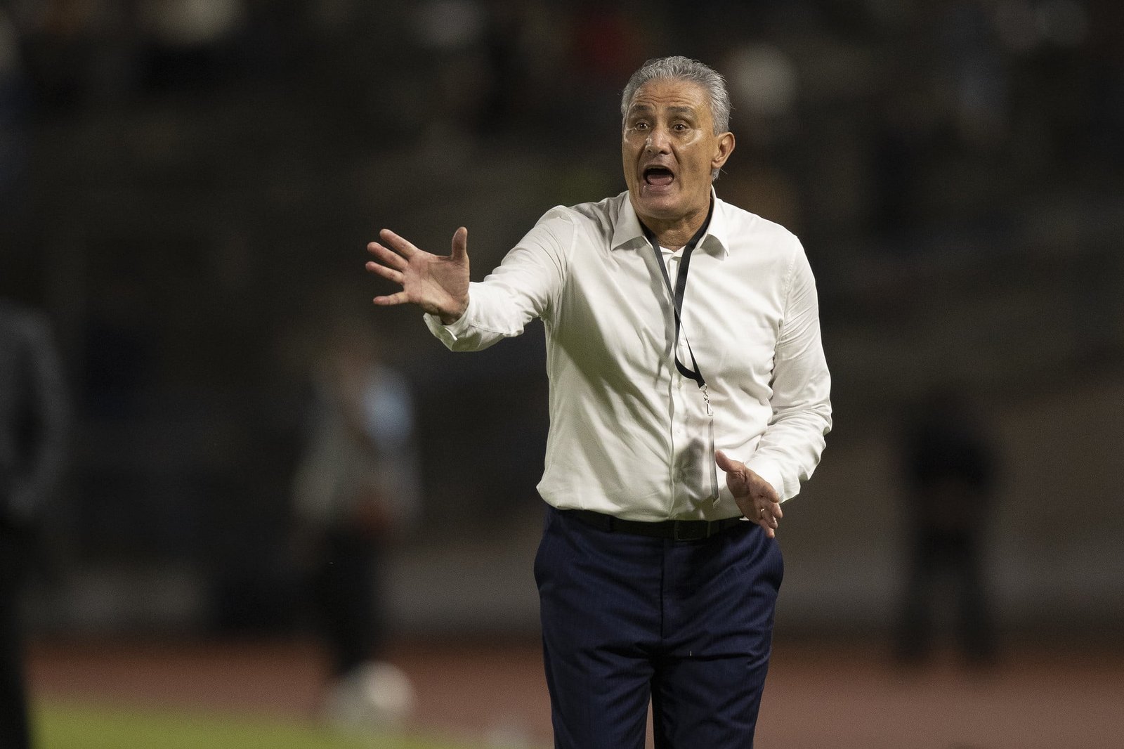 feed-image-1789579413 Botafogo fecha com Tite e aposta em técnico multicampeão para reagir no Brasileiro