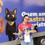 Goiânia terá mutirão gratuito de castração de cães e gatos com 120 vagas; saiba data e local