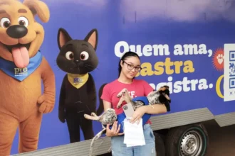 Goiânia terá mutirão gratuito de castração de cães e gatos com 120 vagas; saiba data e local
