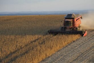 Goiás antecipa plantio da soja diante de alerta para El Niño