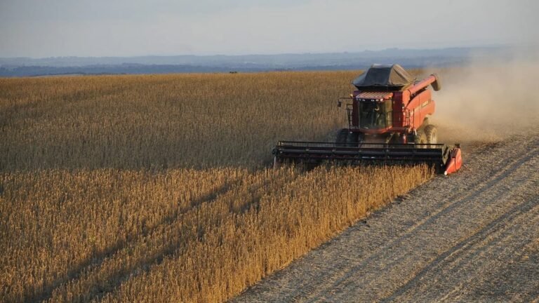 Goiás antecipa plantio da soja diante de alerta para El Niño