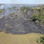 Goiás reduz em 27% área queimada entre janeiro e agosto, na comparação com 2025