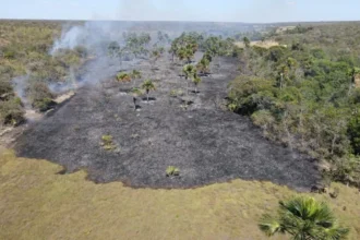 Goiás reduz em 27% área queimada entre janeiro e agosto, na comparação com 2025