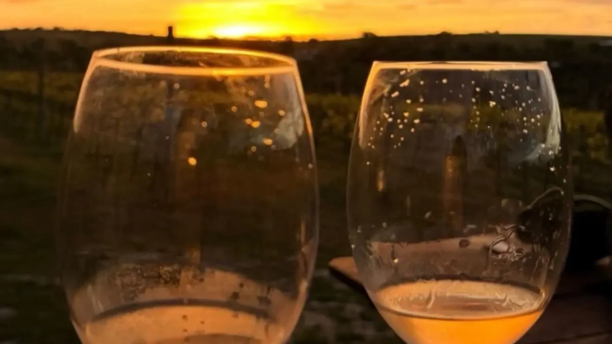 Goiás também é terra de vinho: estado já tem 12 vinícolas e 161 vinhos registrados