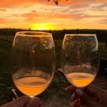 Goiás também é terra de vinho: estado já tem 12 vinícolas e 161 vinhos registrados