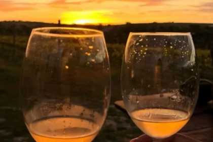Goiás também é terra de vinho: estado já tem 12 vinícolas e 161 vinhos registrados