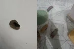 Jovem é executado dentro de casa, na frente na esposa e do filho em Anápolis