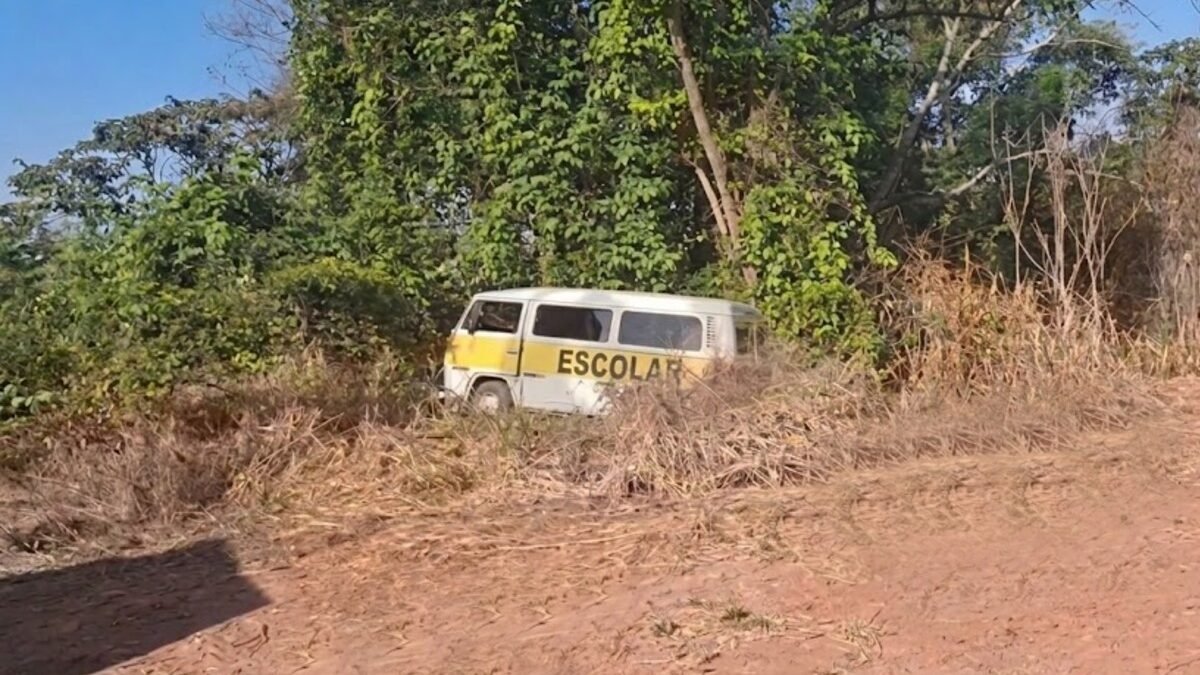 Kombi com seis crianças bate em árvore após motorista passar mal, em Varjão