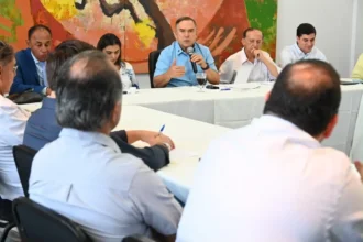 Mabel apresenta a vereadores proposta de fundo imobiliário para preservar patrimônio de Goiânia