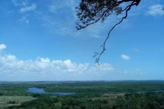 MPF denuncia trio por danos ambientais em Aruanã e pede reparação de R$ 2 milhões