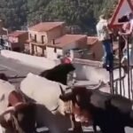 Mulher de 64 anos morre após ser atacada por touro na Espanha