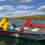 Pai e filho pulam em rio para fugir de ataque de abelhas durante pescaria em Goiás