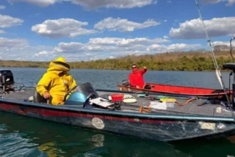 Pai e filho pulam em rio para fugir de ataque de abelhas durante pescaria em Goiás