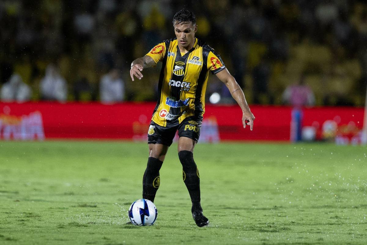 Palpite Botafogo-SP x Novorizontino - Série B - 09/09/26