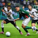 Palpite Botafogo x Palmeiras - Brasileirão - 06/09/26