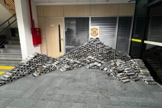 PF acha 725 kg de cocaína escondidos sob piso de casa em SC