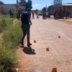 Polícia de GO avalia construir laboratório com tecnologia para coletar pistas de crime em insetos