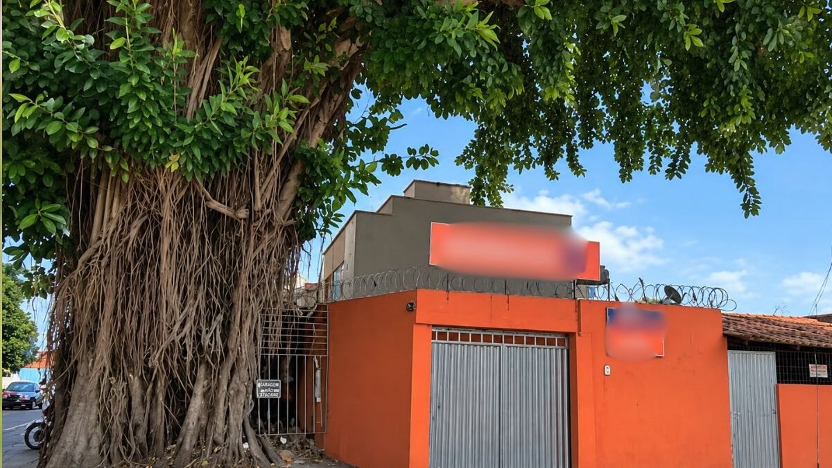 Prefeitura usará dois guindastes para remover gameleira no setor Campinas, em Goiânia